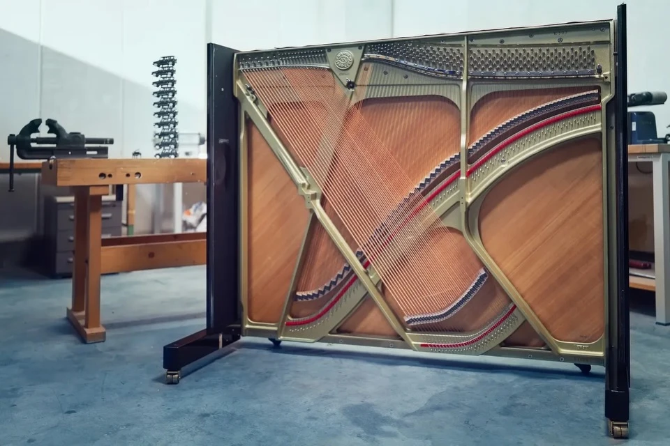 Atelier de réparation de lunettes avec technicien utilisant un tournevis de précision pour ajuster une monture métallique dorée